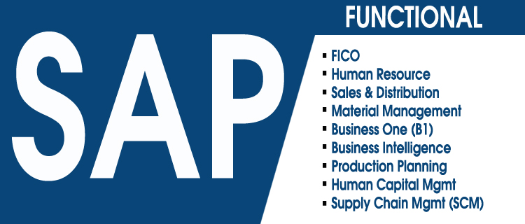 Sap Software Training